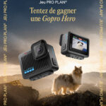 Tentez de remporter une GoPro pour capturer chaque instant de complicité avec votre compagnon à quatre pattes