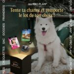 Tentez votre chance en participant à notre dernier jeu de 2025 en choisissant le lot que vous souhaitez remporter : une GoPro, un shooting photo ou un week-end ?