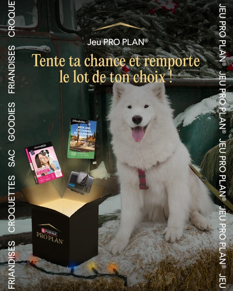 Tentez votre chance en participant à notre dernier jeu de 2025 en choisissant le lot que vous souhaitez remporter : une GoPro, un shooting photo ou un week-end ?