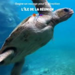 Tente de gagner un voyage de rêve pour 2 personnes au coeur de l’île de La Réunion !