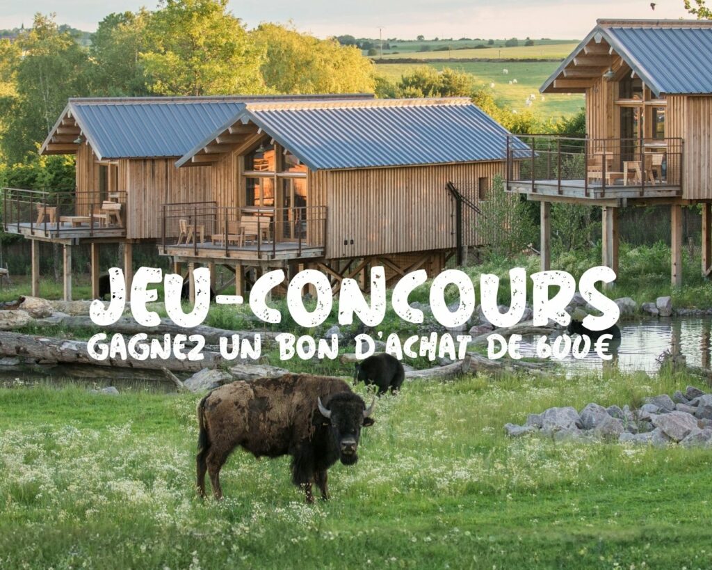 Tentez de remporter un bon cadeau d&rsquo;une valeur de 600€ à utiliser pour une nuit en lodge au Parc Animalier de Sainte-Croix