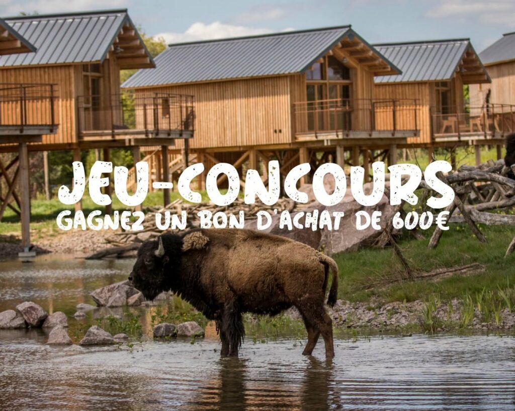 Tentez de remporter une nuit en lodge au Parc Animalier de Sainte-Croix !